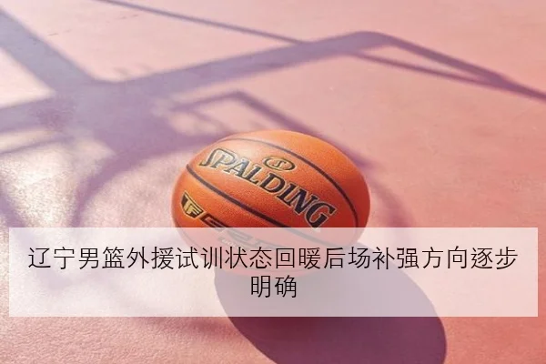辽宁男篮外援试训状态回暖后场补强方向逐步明确
